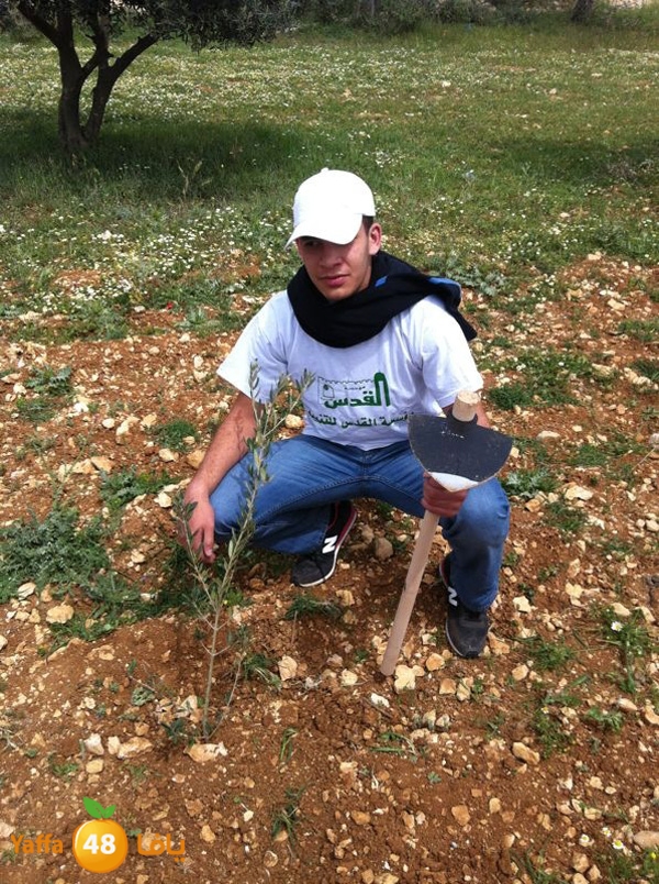 ludandyaffazaitoon (43).JPG